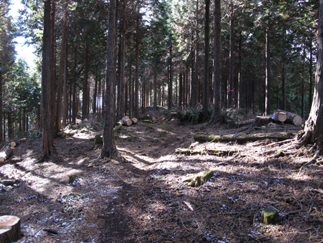 20161216hike (117)
